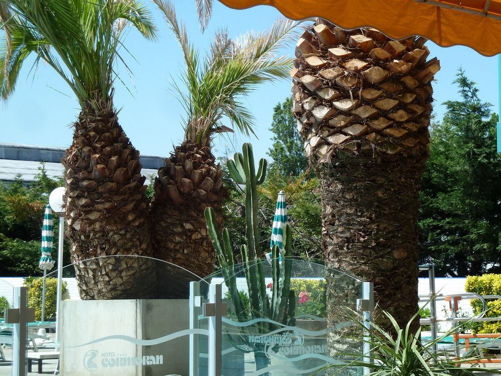 Hotel Cormoran Riccione Exterior foto